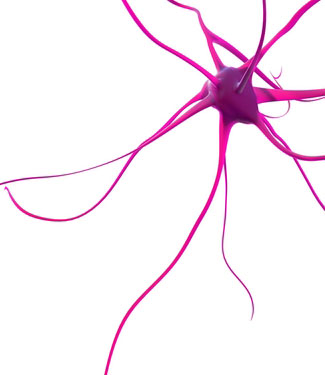 Stem cells and HD: past, present and future