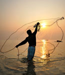 Gone fishing: protein network screen identifies new therapeutic targets in Huntington's disease