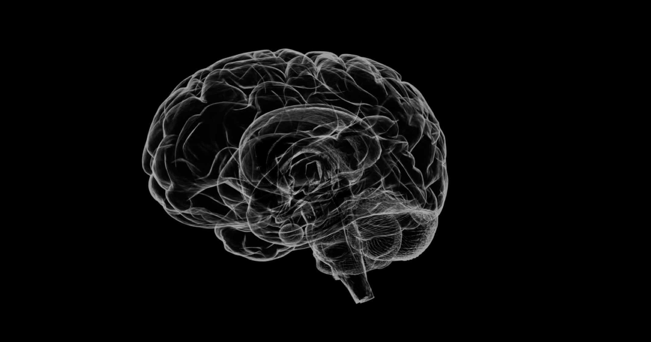 Fountain of youth: HTT protein repairs neurons by maintaining youthful state