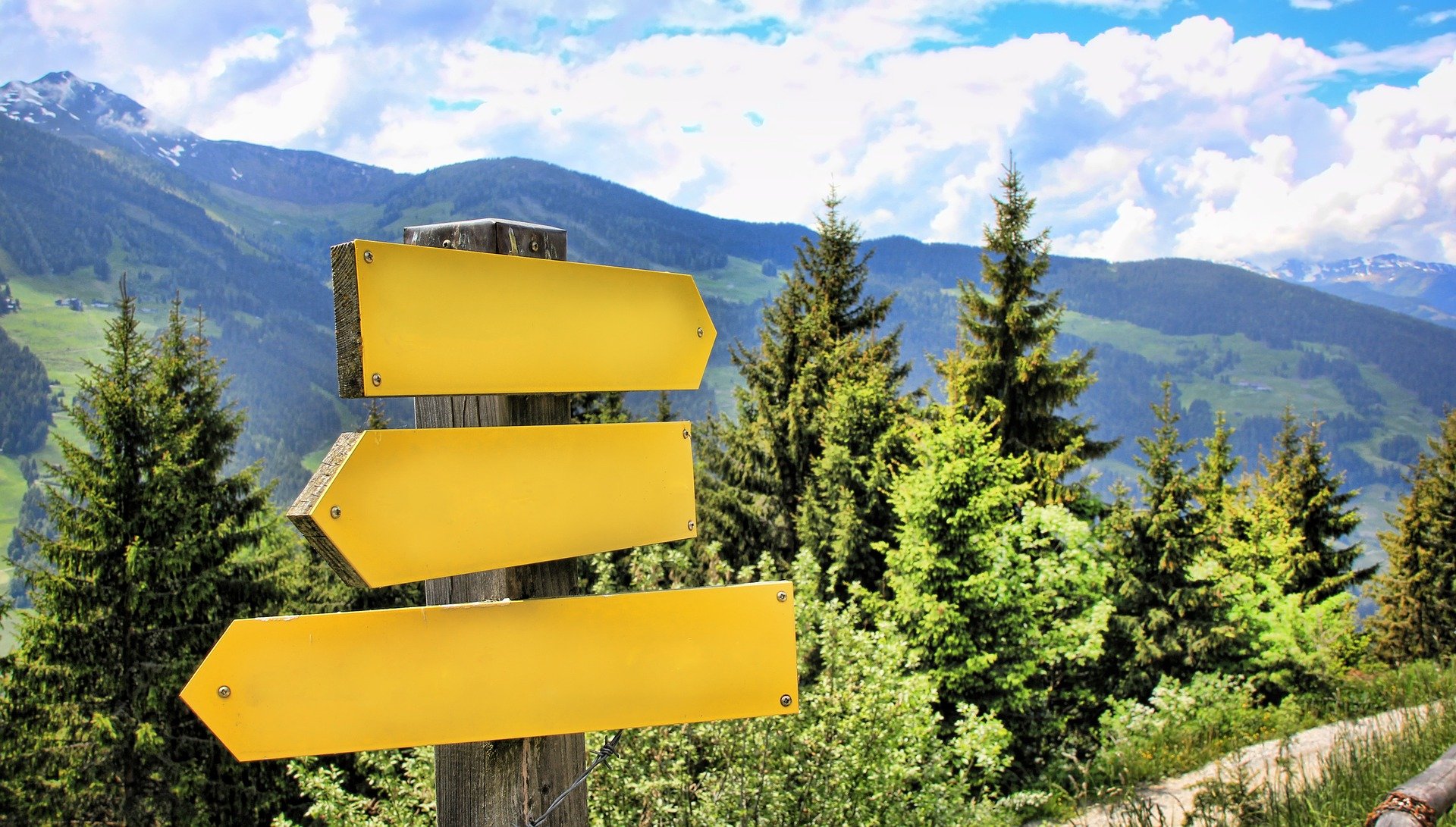 Huntington’s disease clinical trial round up