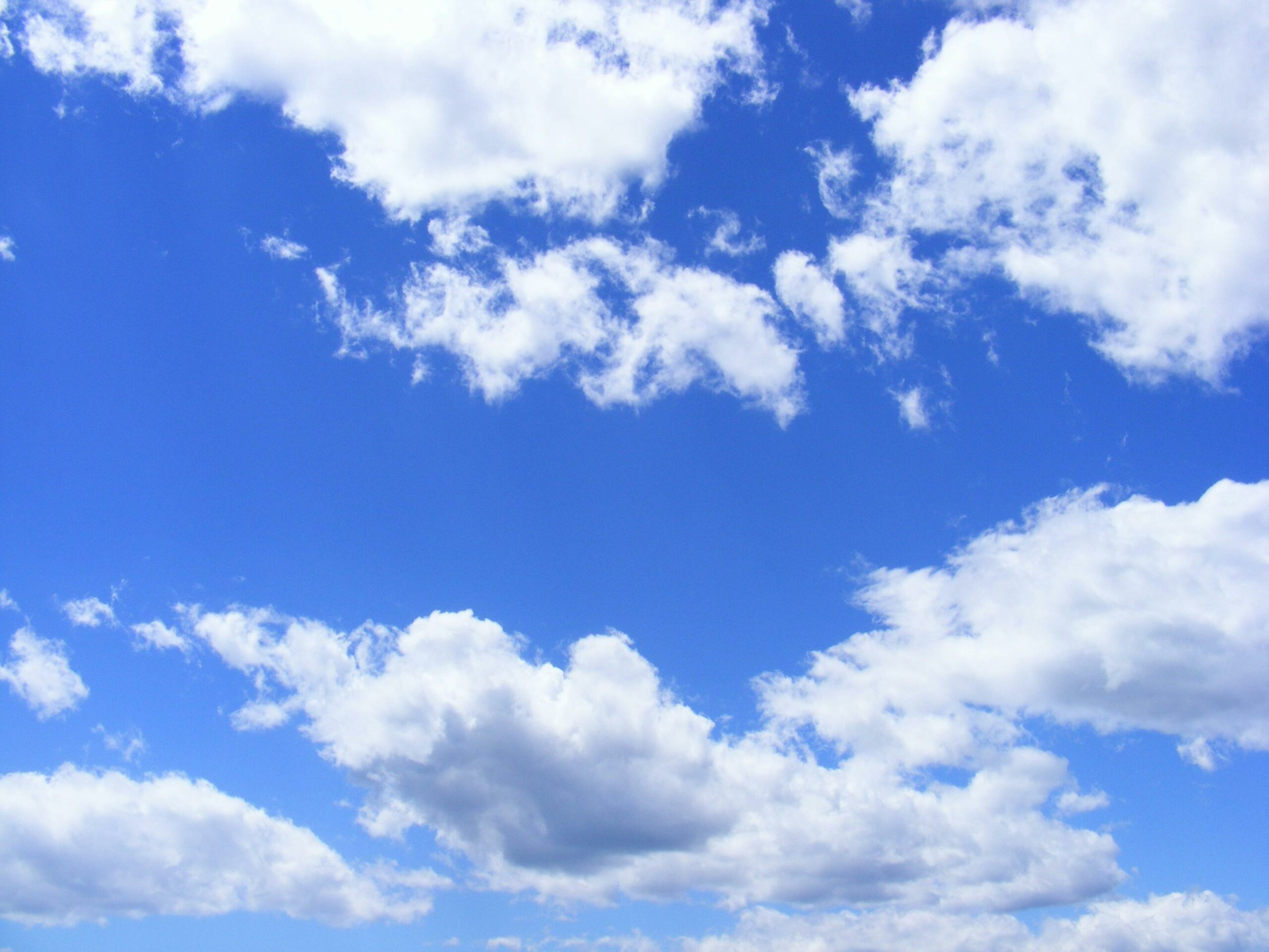 Blue skies for Skyhawk: Positive news from Phase 1 trial for SKY-0515