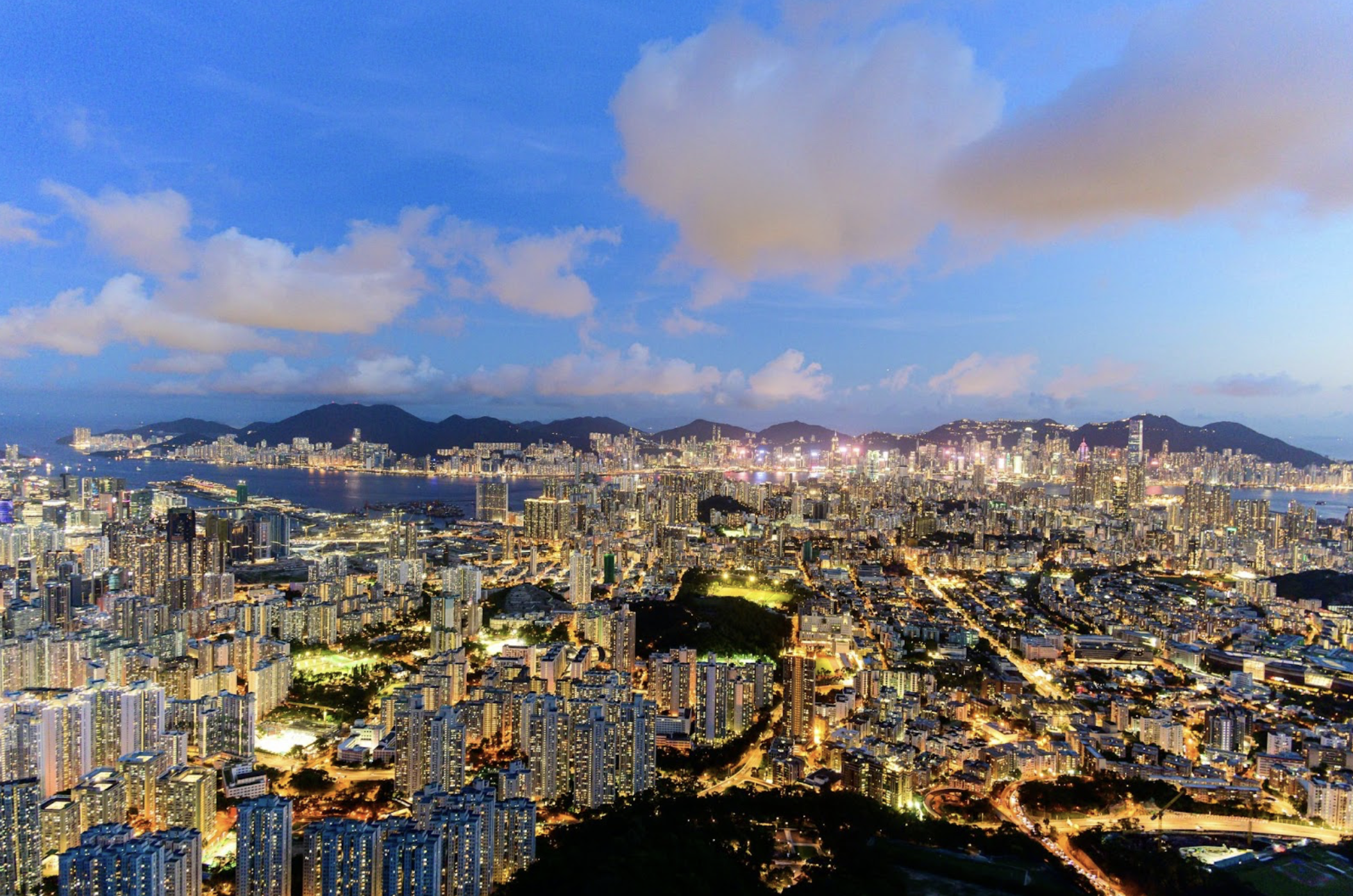City Under the Microscope: How Two Proteins Could Help Track Huntington’s Disease